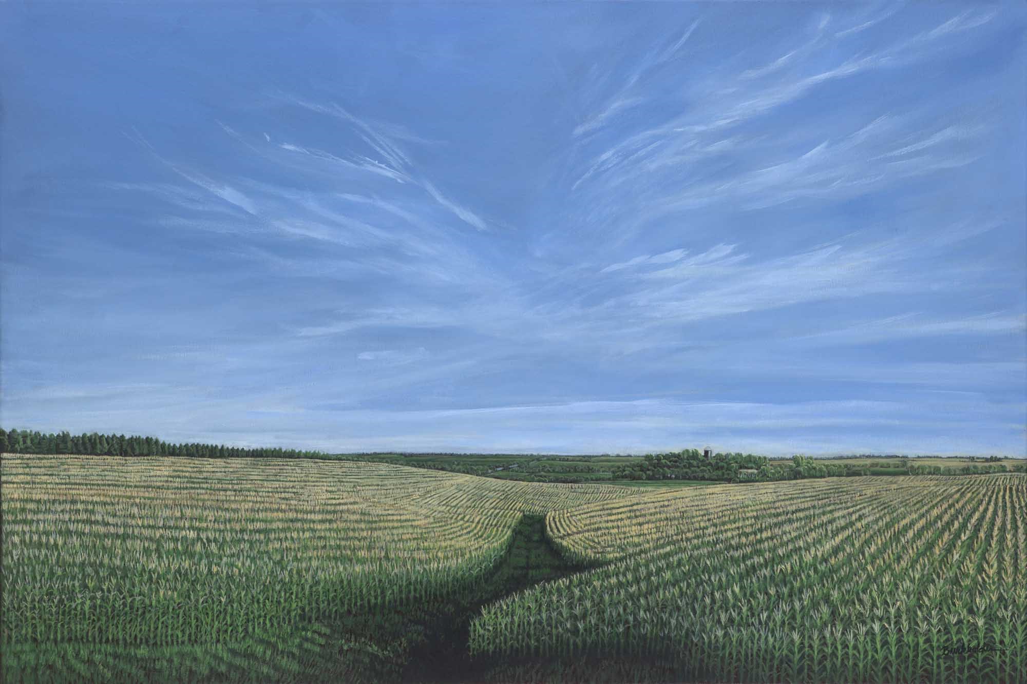 Anne Burkholder, “Horizon 1271 – August Corn Field, Seward County”, oil on canvas