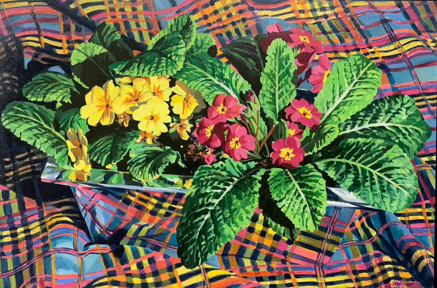 Susan Tinker, “Plaid Primrose”, oil on canvas