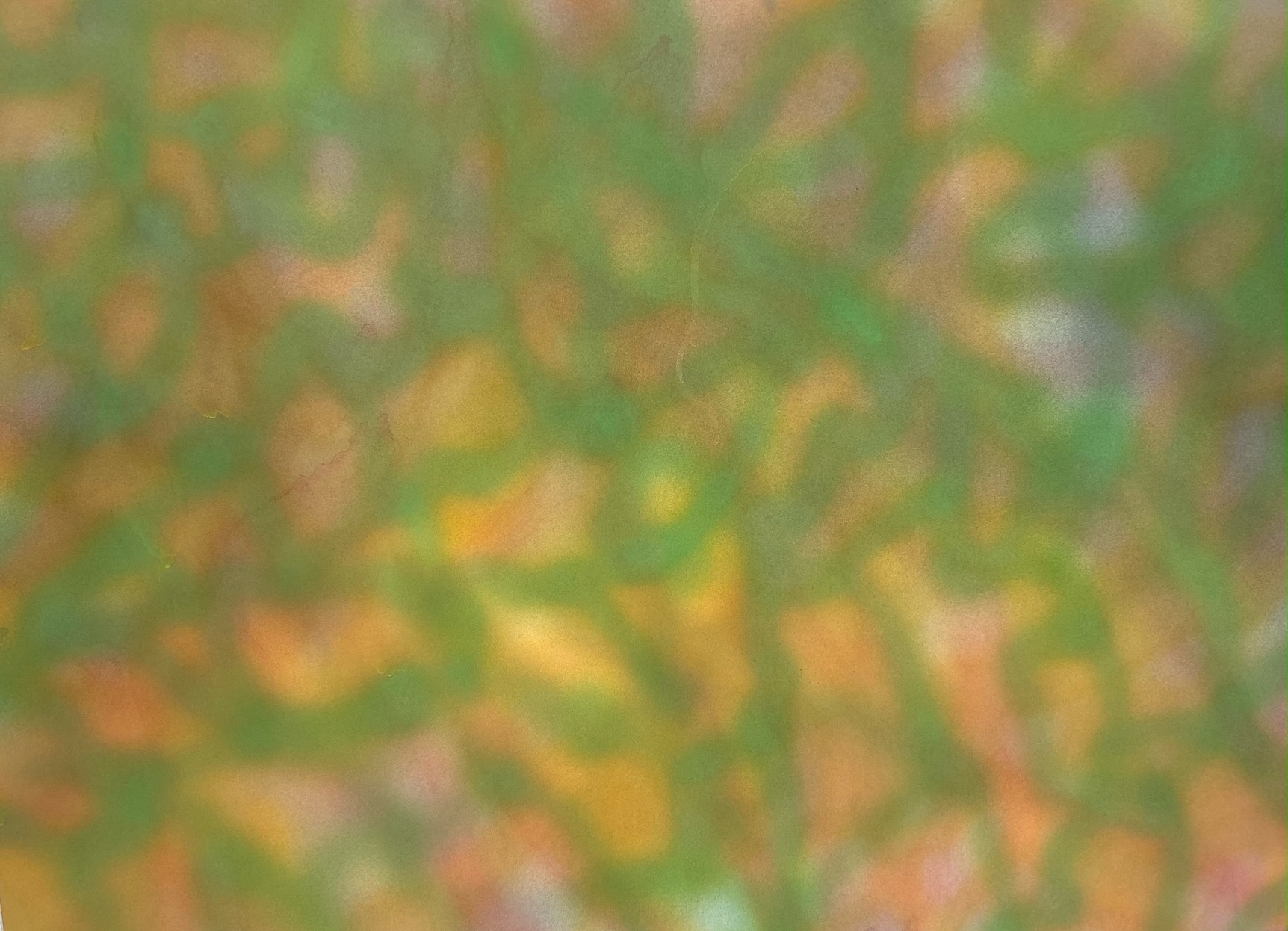 Ann Resnick, “Untitled (Green/Orange)”, Watercolor on paper